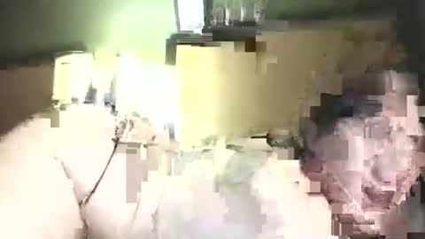 Snapshot of hazelbasil32728 chatting on October 2025 11:39:01 PM hazelbasil32728 online show from October 2025 11:39:01 PM