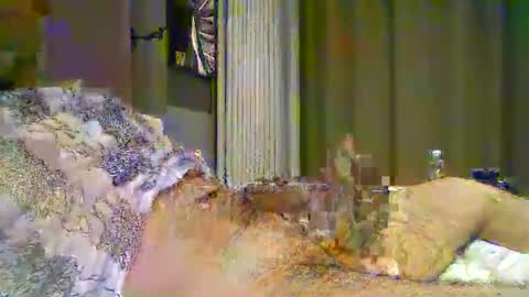 Snapshot of heddamedda59 chatting on April 2026 04:16:01 PM heddamedda59 online show from April 2026 04:16:01 PM