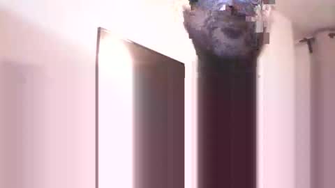 Heist Stein online show from December 2025 08:04:02 PM