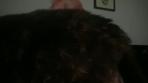 Snapshot of hell0kittyblood chatting on March 2025 02:32:01 PM Bunnie Rotz online show from March 2025 02:32:01 PM