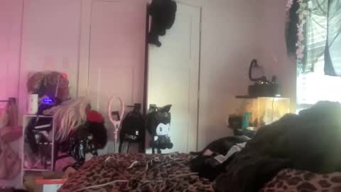 Snapshot of hell0kittyblood chatting on November 2025 06:19:01 PM Bunnie Rotz online show from November 2025 06:19:01 PM