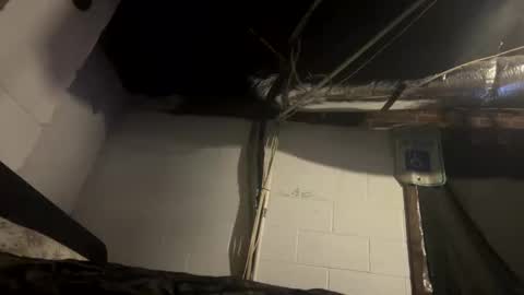 hellbillyboy336 online show from November 2025 09:43:02 AM