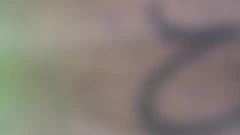 hellohowareyou66 online show from November 2025 06:11:02 PM