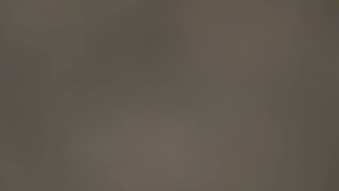 hellohowareyou66 online show from March 2026 06:58:01 PM