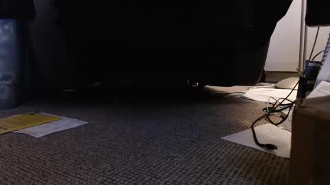 Snapshot of henryjxxx chatting on January 2025 04:18:02 PM henryjxxx online show from January 2025 04:18:02 PM