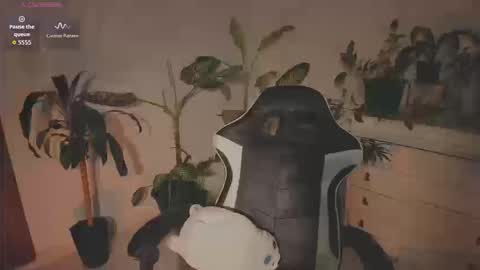 Snapshot of hera_069 chatting on September 2025 03:02:01 PM Hello I am Valentina independent Colombian model I love sensuality and pleasure welcome online show from September 2025 03:02:01 PM