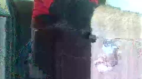 herbee510 online show from December 2025 09:22:02 PM