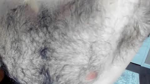 Snapshot of herewego42 chatting on January 2025 02:15:01 AM Wade Biggs online show from January 2025 02:15:01 AM