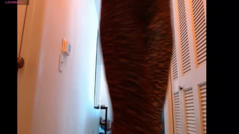 Snapshot of hevin69 chatting on February 2026 07:10:02 PM hevin69 online show from February 2026 07:10:02 PM