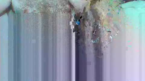 hi_to_you online show from June 2026 08:17:02 AM