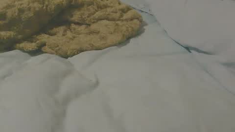 highanhorny72 online show from January 2026 03:10:01 AM