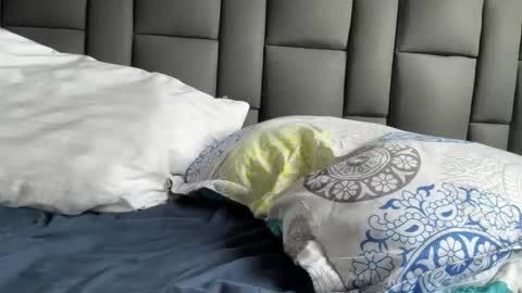 Snapshot of highlatin_guys chatting on September 2025 08:54:01 PM Terry and E online show from September 2025 08:54:01 PM