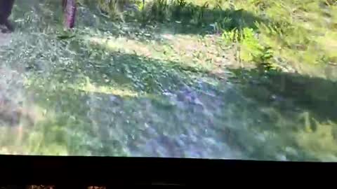 hightymz420 online show from October 2025 04:16:02 AM