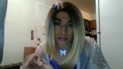 Snapshot of hihheelstranny chatting on January 2025 08:19:02 AM hihheelstranny online show from January 2025 08:19:02 AM