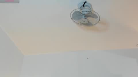 hilary_tailor online show from January 2026 11:04:01 AM