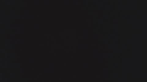 FANE AND DAVID online show from December 2025 12:37:02 AM