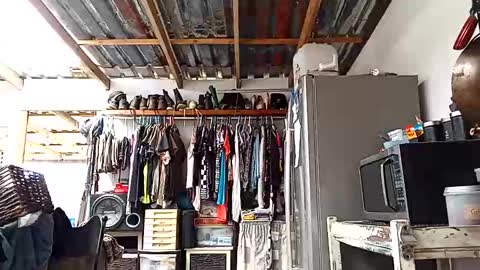 hippieguysa11 online show from November 2025 09:53:01 AM