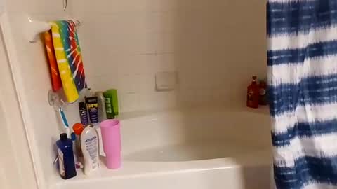 Snapshot of hippydippychick chatting on November 2025 07:18:02 AM hippydippychick online show from November 2025 07:18:02 AM