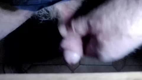 hofnung online show from April 2026 11:49:01 PM