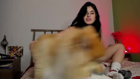 hollyshit_ online show from December 2024 03:49:02 AM