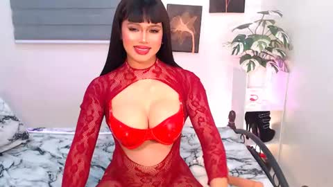 hollywoodstareme online show from August 2026 07:05:02 PM
