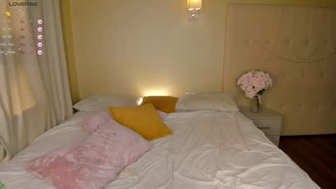 Snapshot of hollyylee chatting on February 2025 04:05:02 AM Emma online show from February 2025 04:05:02 AM