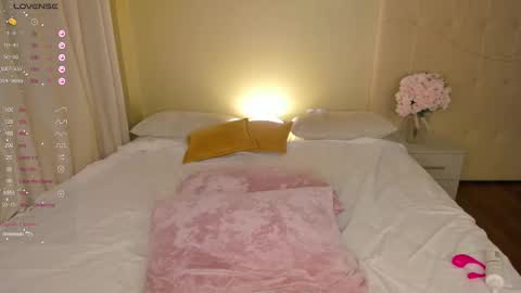 Snapshot of hollyylee chatting on February 2025 04:21:02 AM Emma online show from February 2025 04:21:02 AM