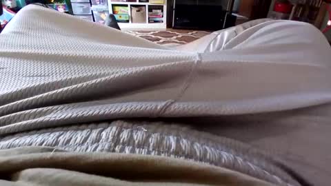 holycannoli123 online show from October 2025 01:22:01 PM