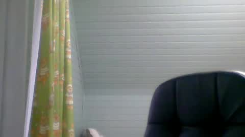 Snapshot of honesttojoy chatting on January 2025 11:48:01 AM Henry online show from January 2025 11:48:01 AM