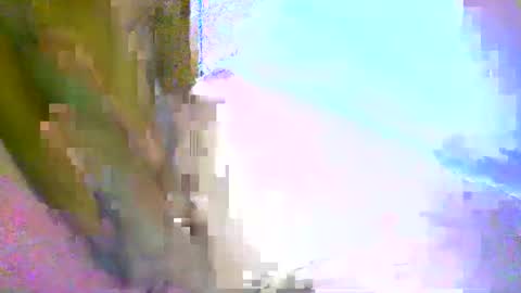 honey1963 online show from March 2026 09:50:01 PM