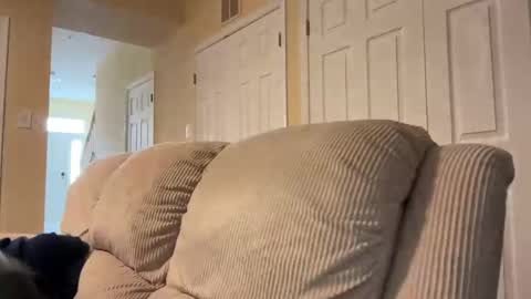 honey_man14 online show from February 2025 01:53:02 PM