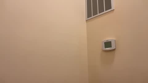 honey_man14 online show from February 2026 05:56:01 PM