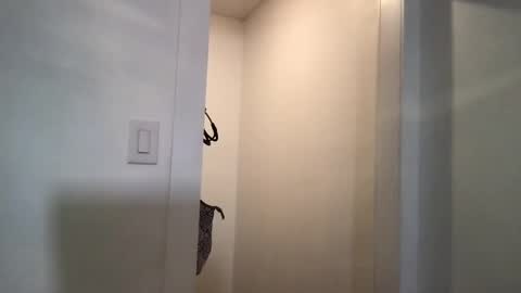 Snapshot of honeybeexx69 chatting on March 2025 02:25:01 AM HoneyBeeXx69 online show from March 2025 02:25:01 AM