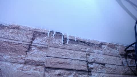 Victoria online show from April 2026 08:34:01 AM