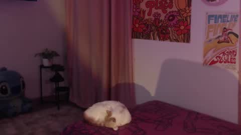 Snapshot of honeyypeaach chatting on December 2024 12:12:02 AM    online show from December 2024 12:12:02 AM