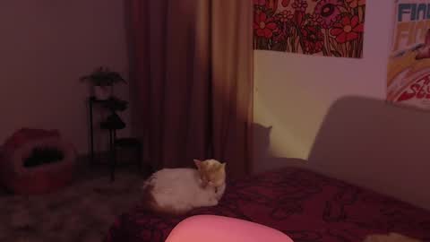 Snapshot of honeyypeaach chatting on December 2024 11:30:01 PM    online show from December 2024 11:30:01 PM