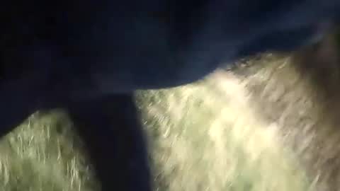 Snapshot of honky220557 chatting on September 2025 12:10:01 AM Jovante online show from September 2025 12:10:01 AM