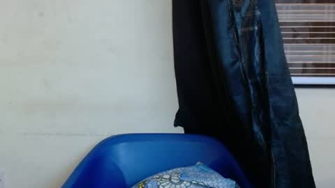 Snapshot of horny4bum chatting on March 2025 07:48:01 PM horny4bum online show from March 2025 07:48:01 PM