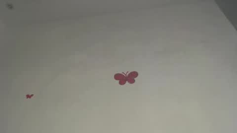 Iris online show from March 2026 08:02:02 PM