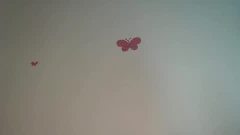 Iris online show from April 2026 08:28:02 PM