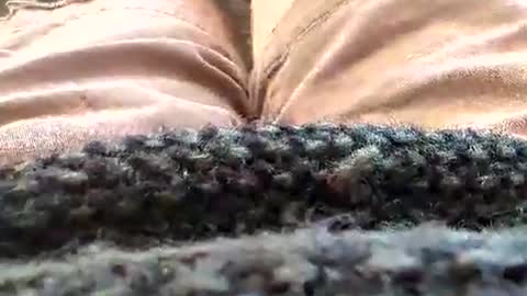 Snapshot of hornyallthetime6969696969 chatting on January 2026 02:43:01 PM Tiny cock online show from January 2026 02:43:01 PM