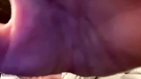 Snapshot of hornyboi2710 chatting on September 2025 10:54:01 PM Justin 7 inches online show from September 2025 10:54:01 PM