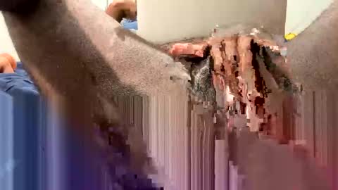 hornyftmguy82 online show from December 2024 01:15:02 AM