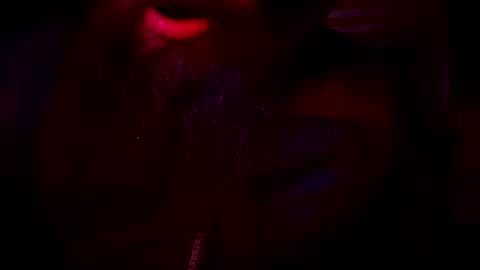 horse9ram5 online show from December 2024 04:45:01 AM