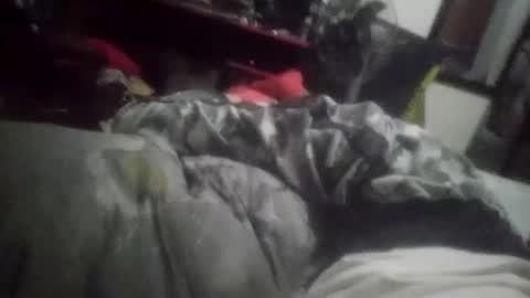 Snapshot of horsebrowm chatting on January 2025 11:29:01 PM horsebrowm online show from January 2025 11:29:01 PM