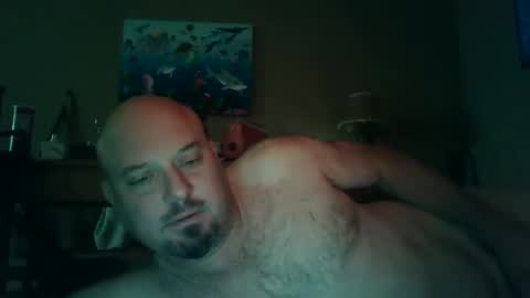 Snapshot of horsenamedcharlie chatting on December 2024 02:19:02 PM Charles online show from December 2024 02:19:02 PM