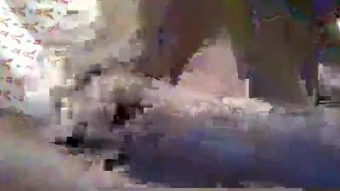 ALLYN online show from October 2025 08:05:02 PM