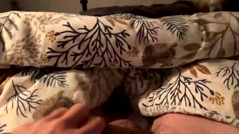 Snapshot of hot_for_you_ chatting on October 2025 12:57:01 AM hot_for_you_ online show from October 2025 12:57:01 AM