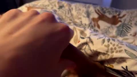 Snapshot of hot_for_you_ chatting on February 2026 02:10:01 AM hot_for_you_ online show from February 2026 02:10:01 AM