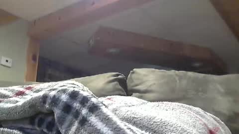 Snapshot of hotandhornyxxx1 chatting on May 2026 08:46:02 PM Hot and Horny online show from May 2026 08:46:02 PM